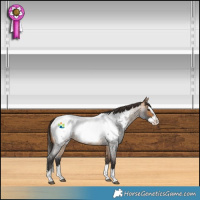 Horse Color:Buckskin Roan Splash Near Fewspot 