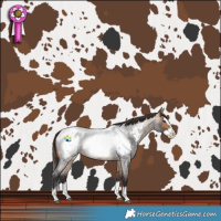 Horse Color:Buckskin Roan Splash Near Fewspot