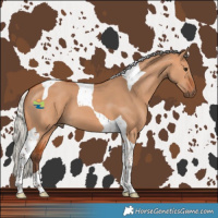 Horse Color:Silver Bay Dun Tobiano 