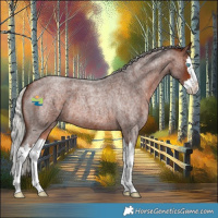 Horse Color:Silver Bay Roan Splash