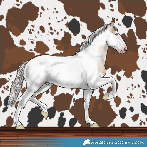 Horse Color:Gray White Spotted Silver Classic Champagne Tobiano Frame Rabicano 
