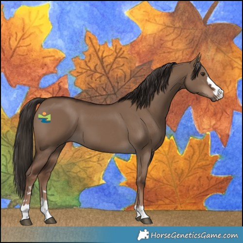 Horse Color:Liver Red Dun 