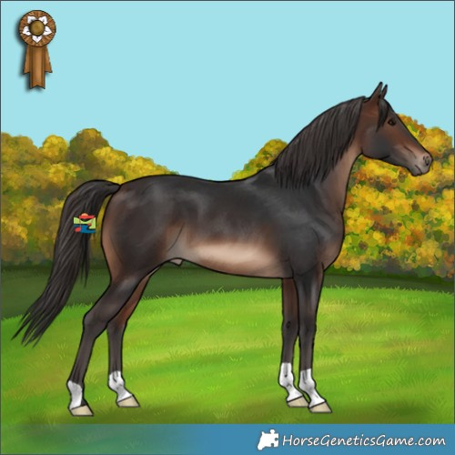 Horse Color:Brown 