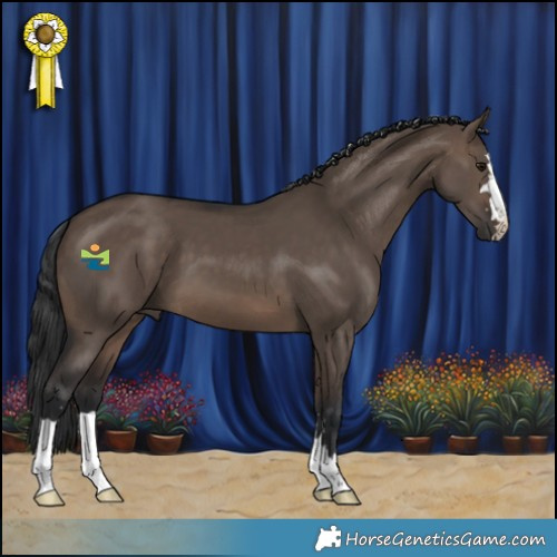 Horse Color:Brown Dun 
