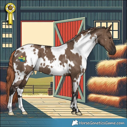 Horse Color:White Spotted Liver Red Dun Brindle 