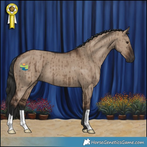 Horse Color:Liver Red Dun Brindle 