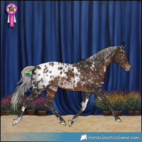 Horse Color:White Spotted Silver Brown Blanket Rabicano 