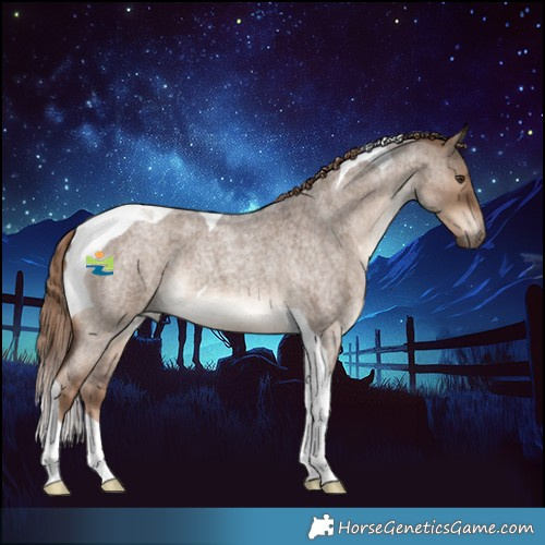 Horse Color:Liver Red Dun Roan Tobiano 