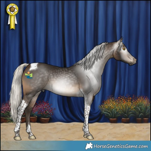 Horse Color:Gray Silver Buckskin Tobiano 