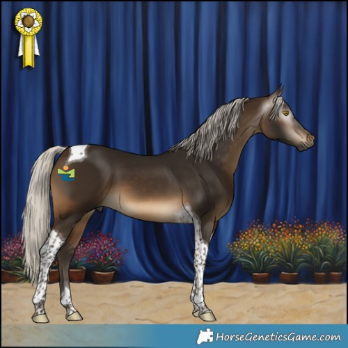 Horse Color:Gray Silver Buckskin Tobiano 
