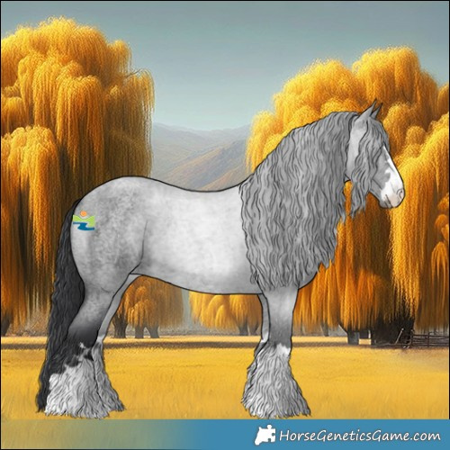 Horse Color:Blue Roan 