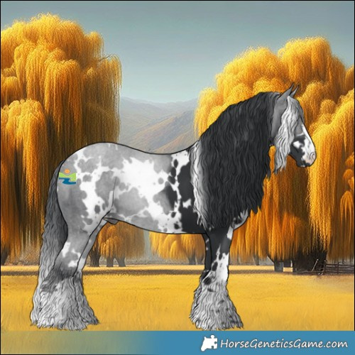 Horse Color:White Spotted Black 