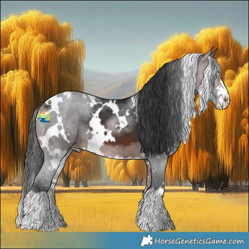 Horse Color:White Spotted Brown 