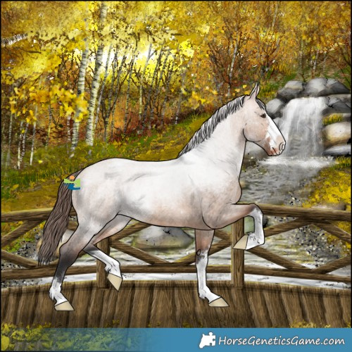 Horse Color:Bay Roan Dun Varnish 