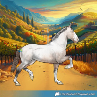 Horse Color:Bay Roan Dun Varnish 