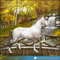 Horse Color:Bay Roan Dun Varnish