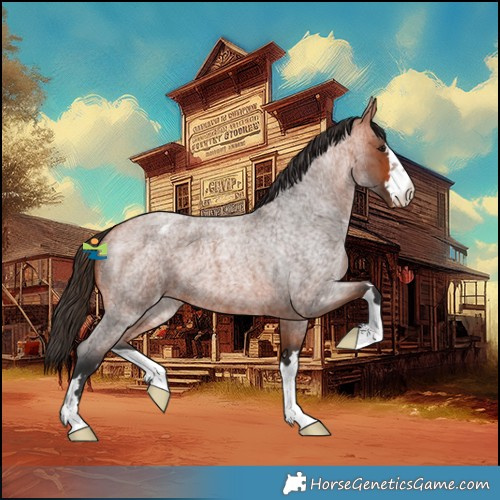 Horse Color:Bay Roan Varnish 