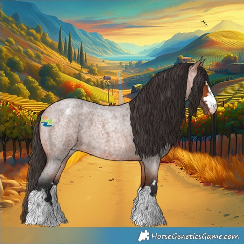 Horse Color:Bay Roan Appaloosa 
