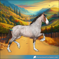 Horse Color:Bay Roan Varnish