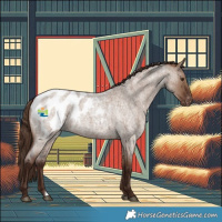Horse Color:Liver Red Dun Roan Blanket 
