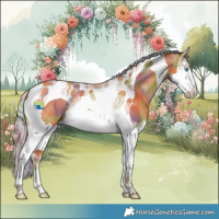 Horse Color:Nacre Palomino Splash Tobiano
