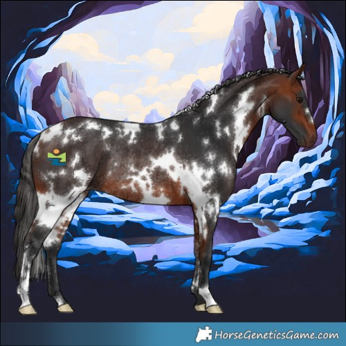 Horse Color:White Spotted Bay Rabicano 