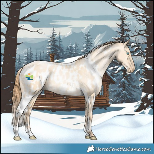 Horse Color:White Spotted Buckskin Pearl Dun Blanket Rabicano 