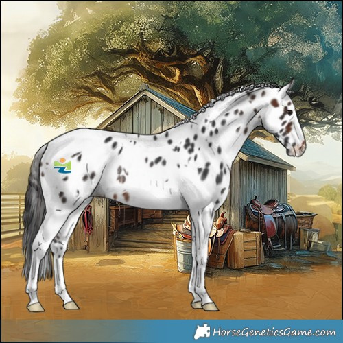 Horse Color:White Spotted Brown Tobiano Appaloosa Rabicano 