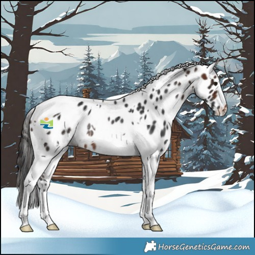 Horse Color:White Spotted Brown Tobiano Leopard Rabicano 