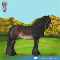Horse Color:Brown Rabicano