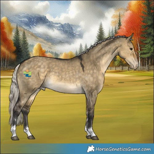 Horse Color:Silver Buckskin Dun Appaloosa 