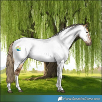 Horse Color:Gray White Spotted Chocolate Palomino Dun Tobiano Near Fewspot 