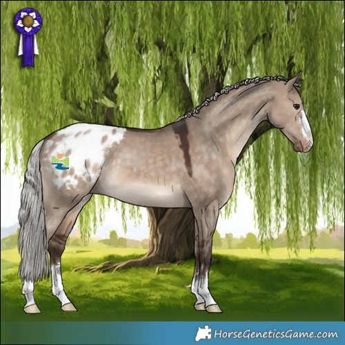 Horse Color:Silver Brown Dun Blanket 