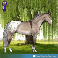 Horse Color:Silver Brown Dun Blanket