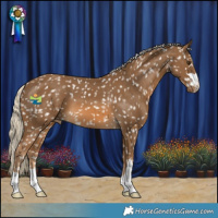 Horse Color:Chocolate Palomino Snowflake Varnish 