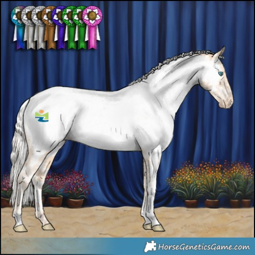 Horse Color:White Spotted Silver Buckskin Pearl Appaloosa 
