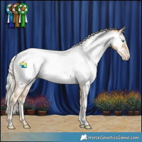 Horse Color:White Spotted Silver Buckskin Pearl Appaloosa 