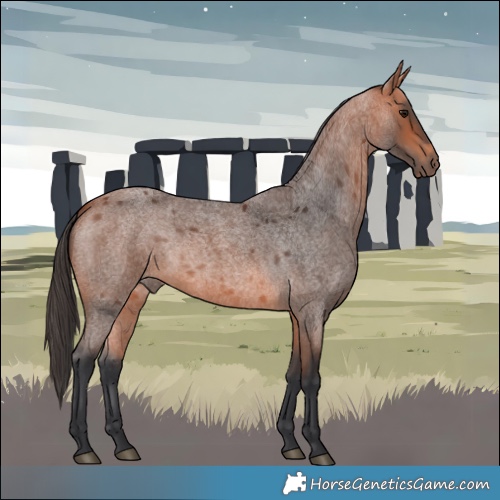 Horse Color:Bay Roan