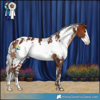 Horse Color:White Spotted Silver Brown Frame Blanket Rabicano