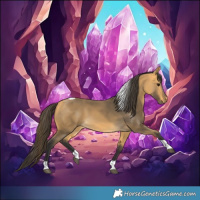 Horse Color:Buckskin Tobiano 