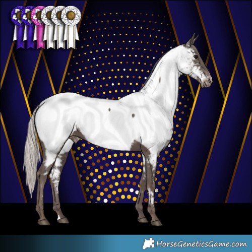 Horse Color:Silver Black Near Fewspot 