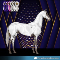 Horse Color:Silver Black Near Fewspot 