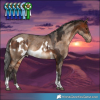 Horse Color:Bay Tobiano  and Bay Dun Merle Tobiano Skewed LP Spotted 