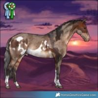 Horse Color:Bay Tobiano and Bay Dun Merle Tobiano Skewed Appaloosa