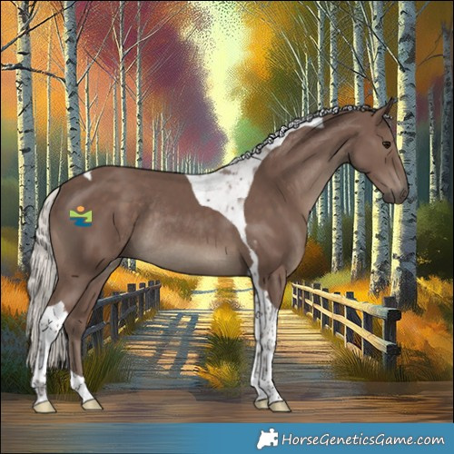 Horse Color:Silver Black Tobiano Rabicano 