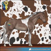 Horse Color:Silver Black Tobiano Rabicano 