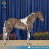 Horse Color:Silver Black Tobiano Rabicano