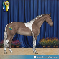 Horse Color:Silver Black Tobiano Rabicano 