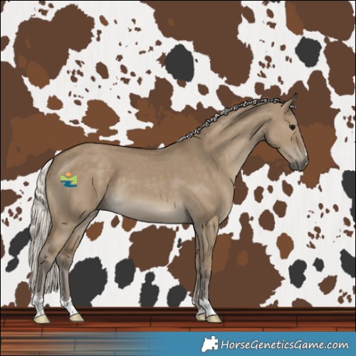 Horse Color:Silver Smoky Grullo 