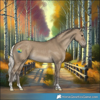 Horse Color:Silver Smoky Grullo 
